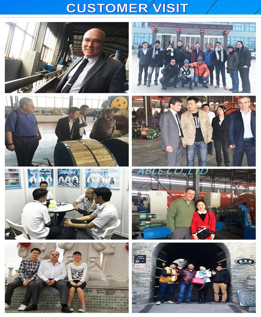 ACSR Rabbit 50mmò Aluminum Conductor Steel Supported Bare Conductor